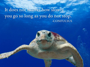 Confucius Quotes HD Wallpaper 11