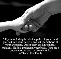 ... funny quotes wisdom humor words ancestor quotes thich nhat hanh