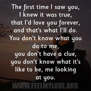 the first time i saw you i knew it was true that i d love you forever ...