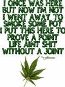 weed sayings