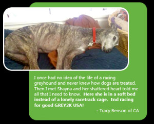 Quotes About Dogs Dying Cases of racing dogs dying