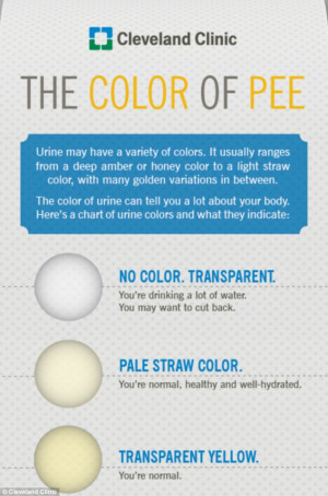 What does your pee say about your health? New diagram shows when to be ...