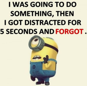 Funny Minion Quotes Of The Day 305