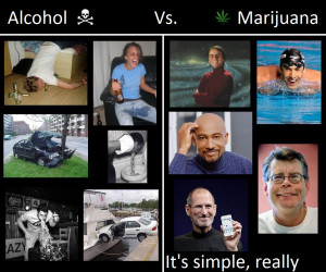 ... vs-marijuana-poll-majority-view-alcohol-as-more-harmful-than-cannabis