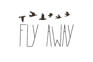 fly # away # free # birds # quote # text
