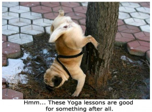 do that! Uhm… no, better not, forget about it. But we must admit ...