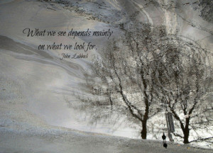 Bird's-Eye of the Storm