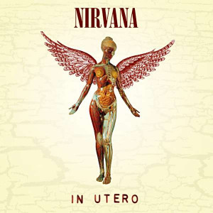 albumart nirvana 50 Amazing Album Cover Art