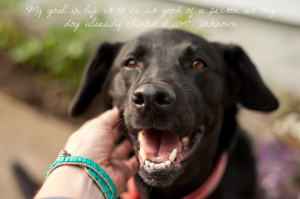 Dogs Man 39 s Best Friend Quotes