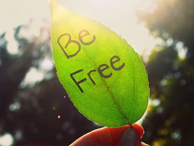 Quotes about Being Free