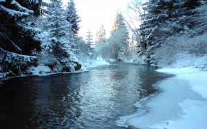 Winter Wallpaper Free