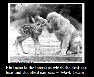 10 Ways to Be Wise and Kind to Yourself. A Blog by Pádraic Ó Máille ...