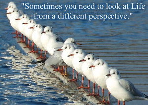 ... to look at Life from a Different Perspective” ~ Inspirational Quote