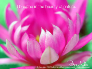 in art flowers healing inspirational gifts inspirational quotes ...