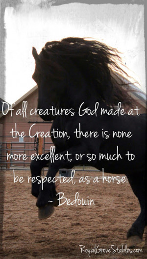 Royal Grove Stables Blog