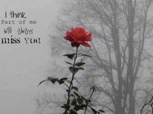 love, missing you, rose, you