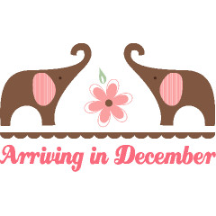 December Pregnancy Baby Elephant