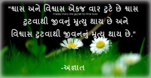 Gujarati Funny Quotes Nice quotes (gujarati)