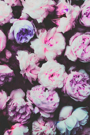flowers, hipster, indie, iphone wallpaper, nature, night, pink, retro ...