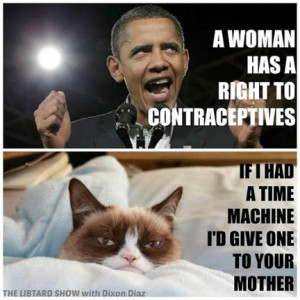 Caturday, March 15, 2014: Grumpy Cat takes on Obama, no holds barred