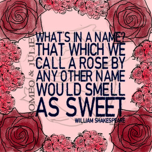 What's in a name? That which we call a Rose by any other name