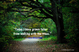 not an environmentalist. I’m an Earth warrior. ~Darryl Cherney ...