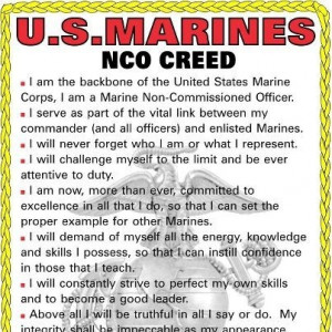 NCO CreedNco Creed, Corps Pride, Marines Mom, Care Packaging, David ...