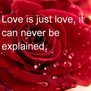 ... as Red Color and Rose Flower Background and also Valentines Day Quotes
