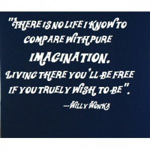 Willy Wonka quote 22x20 wall saying quotes vinyl decals [0409IGP13D2 ...