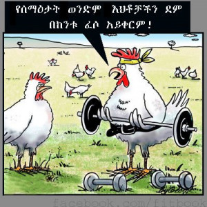 Funny Ethiopian Jokes in Amharic