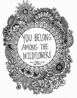 You belong among the wildflowers quote