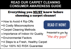 carpet cleaning consumer guide