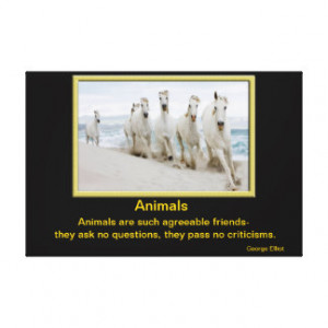 Animals inspirational quotes 19 gallery wrapped canvas