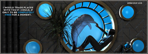 12077-dolphin-dreams.jpg