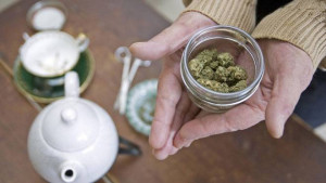 stop gang violence quotes