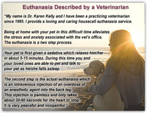 ... euthanasia hoping to share my many years of experience with fellow