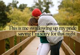 ... im sorry quote im sorry quotes im sorry quotes for him quotes