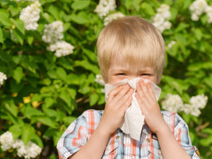... decide which options are best to help your child deal with allergies