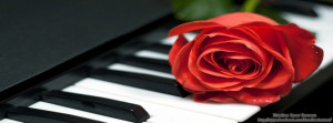 red rose on piano timeline cover, roses timeline cover banner