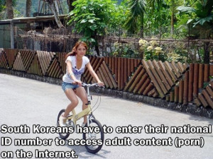 한국에서는 성인 콘텐츠에 접속하려면 그들의 주민 ...