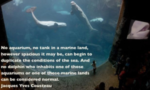 Quote by Jacques Yves Cousteau