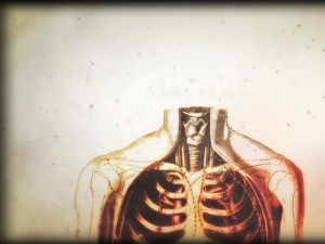 anatomy human body house md 1680x1050 wallpaper Art HD Wallpaper