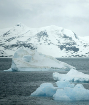 Monday, Apr. 06, 2009