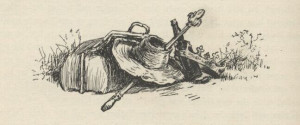 ILLUSTRATIONS.