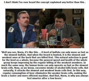 Quotes from Cheers. Beer philosophy: you always feel smarter after a ...