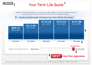 aaa term life insurance625