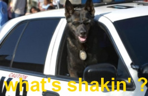 Funny Police Dog