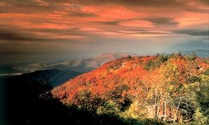 Shenandoah National Park, Virginia (de staat waar ik zo graag was gaan ...