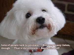 ... , though.... That's the problem. - Benjamin Hoff #quote #pet #dog