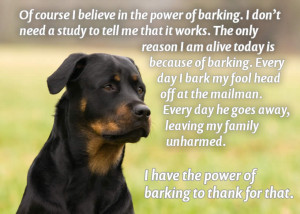 believe in the power of barking. I don’t need a study to tell me ...